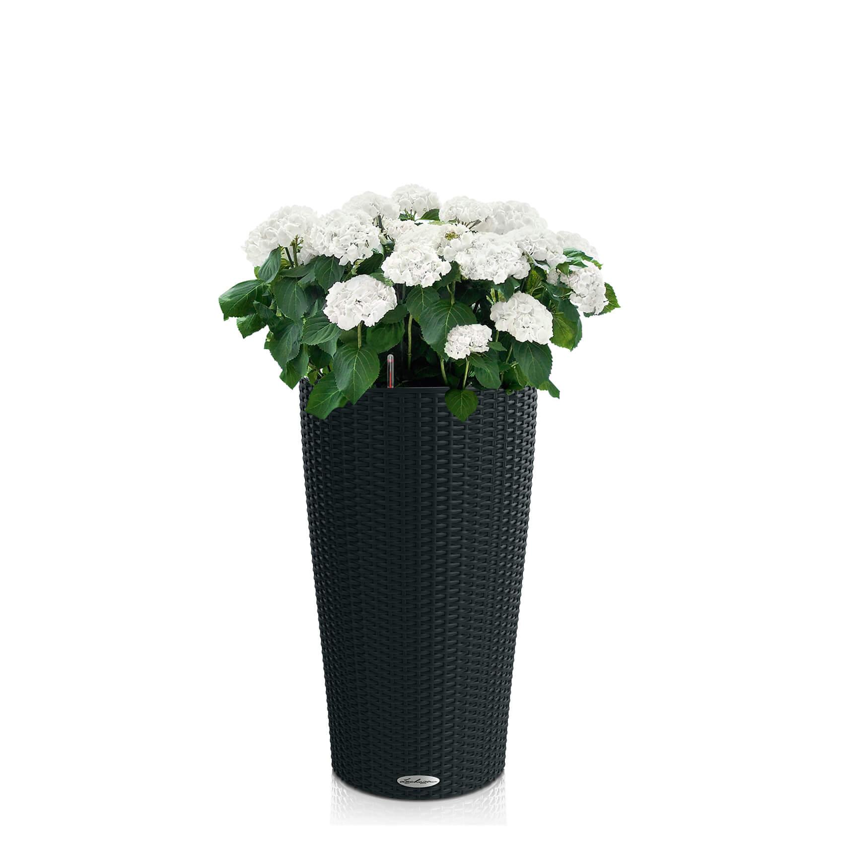 CILINDRO Cottage 23 graphite black